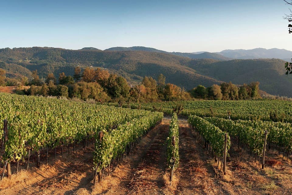 View from Holiday Home [summer]