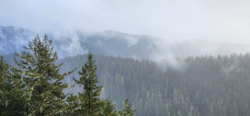 Photo taken at the top of Cape Perpetua, a short drive south of the home