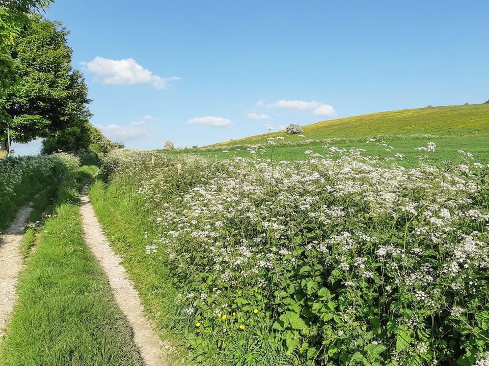 Surrounding area | Whitey Top Country Lodge - Whitey Top Lodges, Pentridge