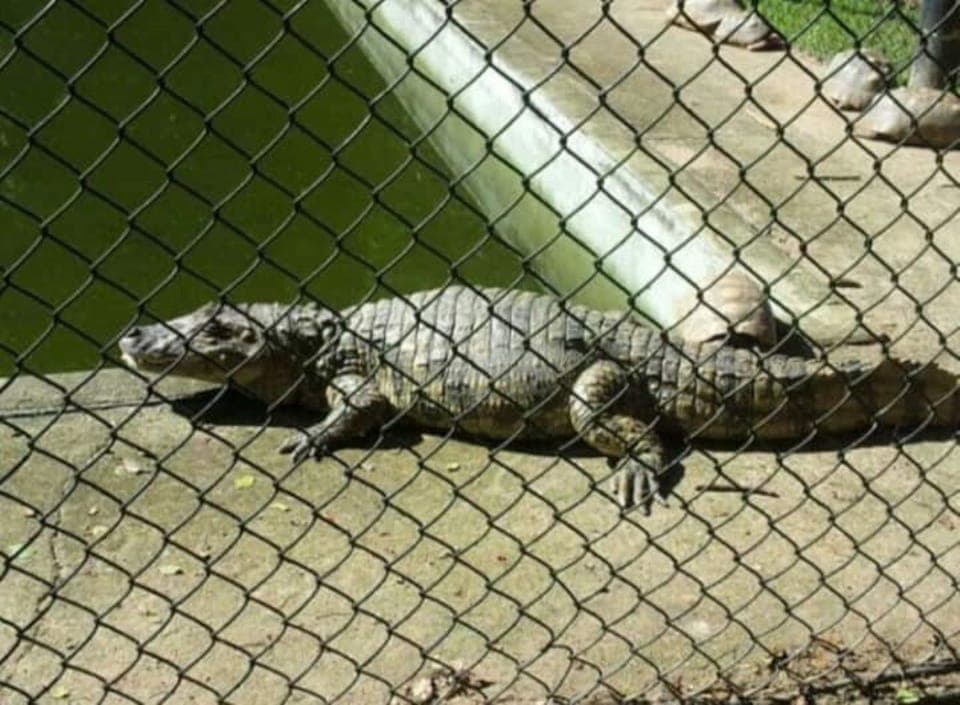 Parque Chico Mendes ( a 5 KM do apartamento )