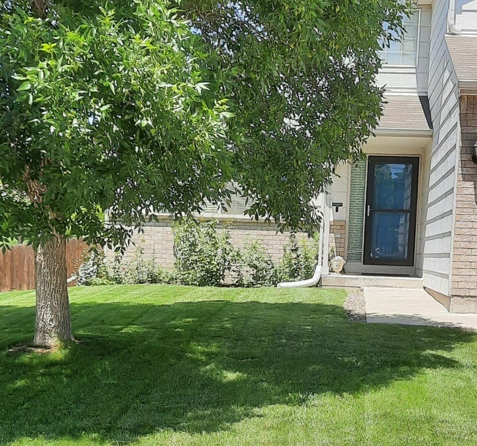 Front Yard