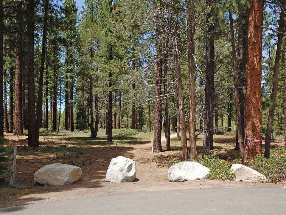 Trailhead for Hiking and Mountain Biking at end of Driveway