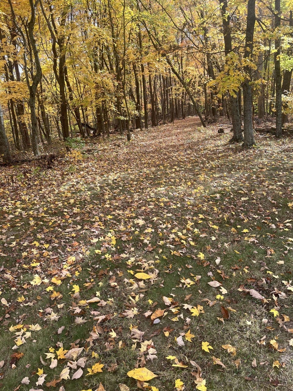 Trails for walking and sightseeing.