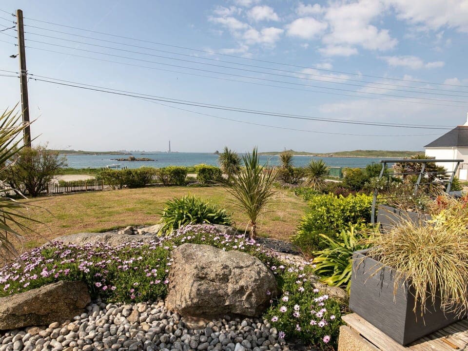 Rock, Shrub, Plant Community, Groundcover, Garden, Landscaping, Coast