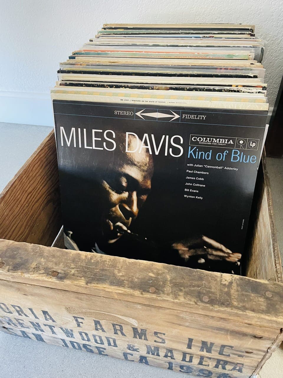 There are some musical treasures...