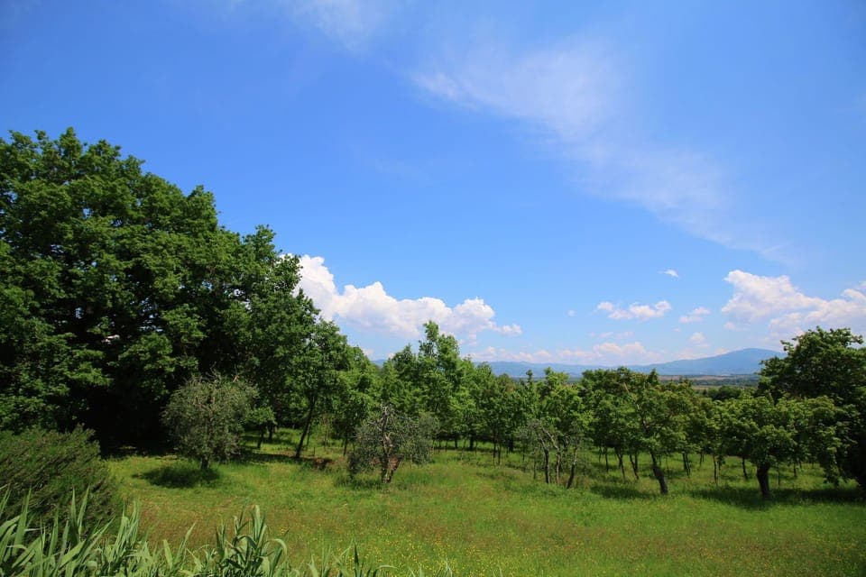 Immediate Surroundings [summer] (<1 km)