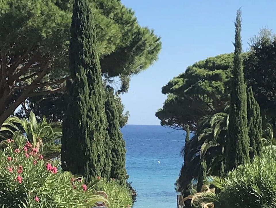 Beautiful colours of local beaches