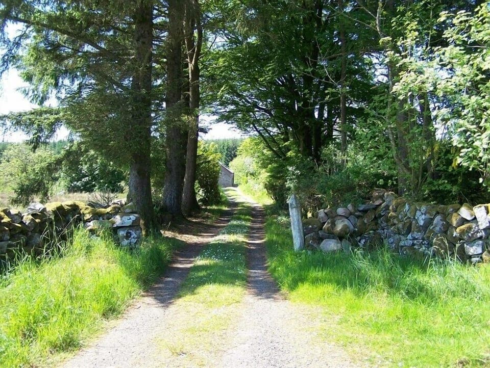 432865e1-9cf3-44ce-b4ff-edbdc1d71f56