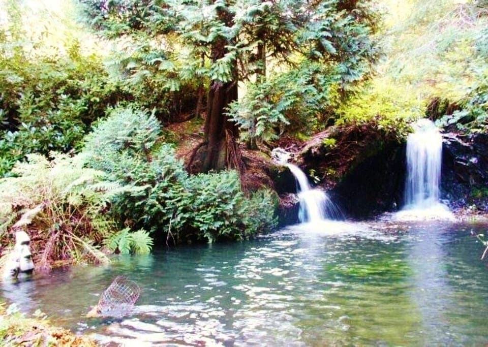 Waterfalls when at full flow