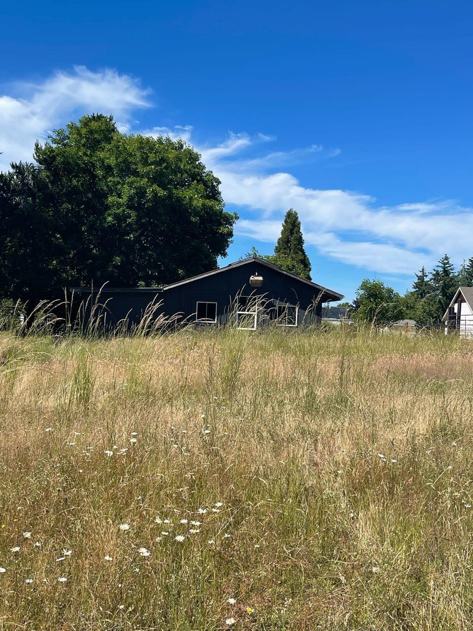Barn on property viewable from back of house 