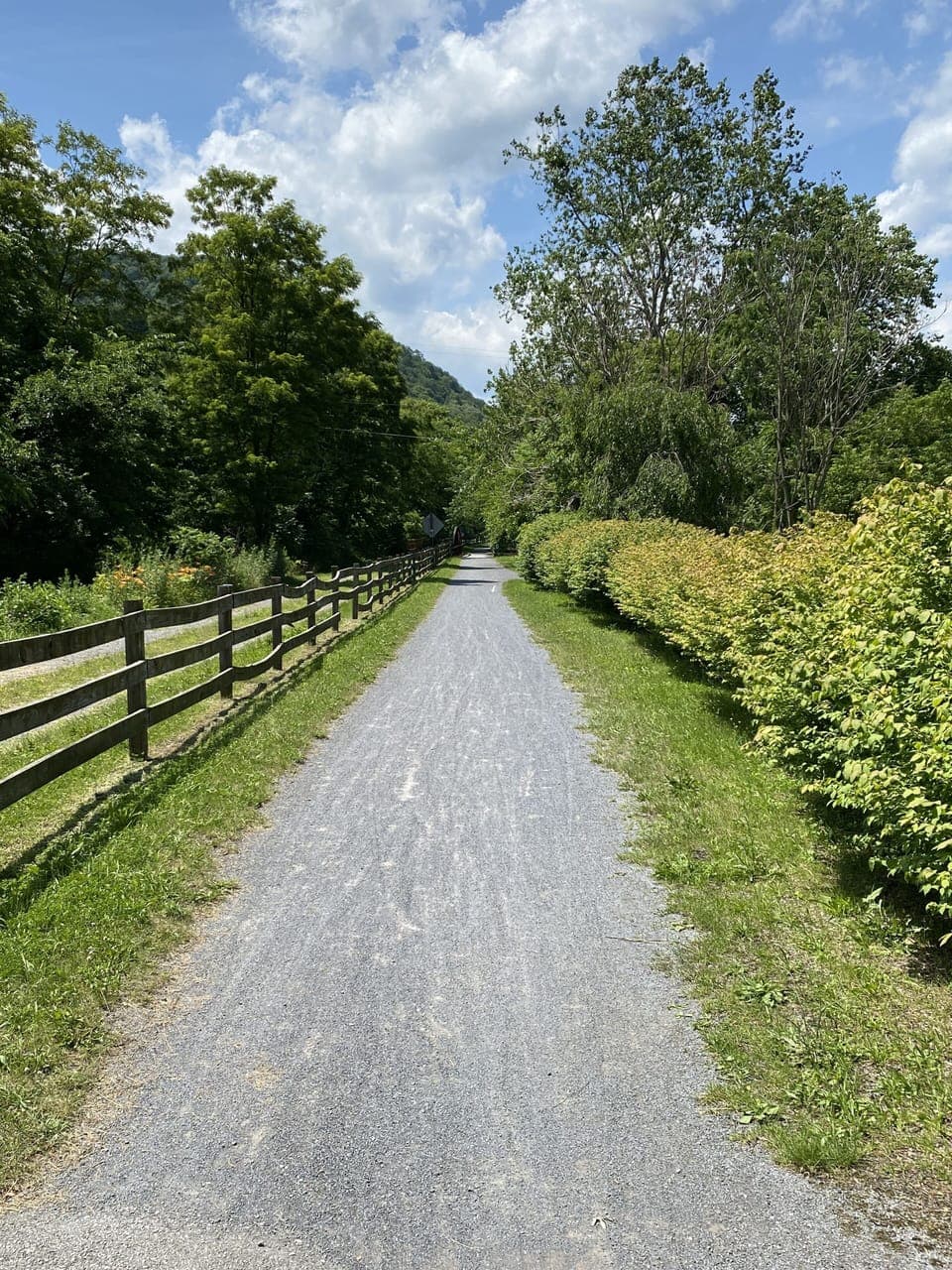 House is directly on the Lower Rail Trail - hop on your bike and ride!