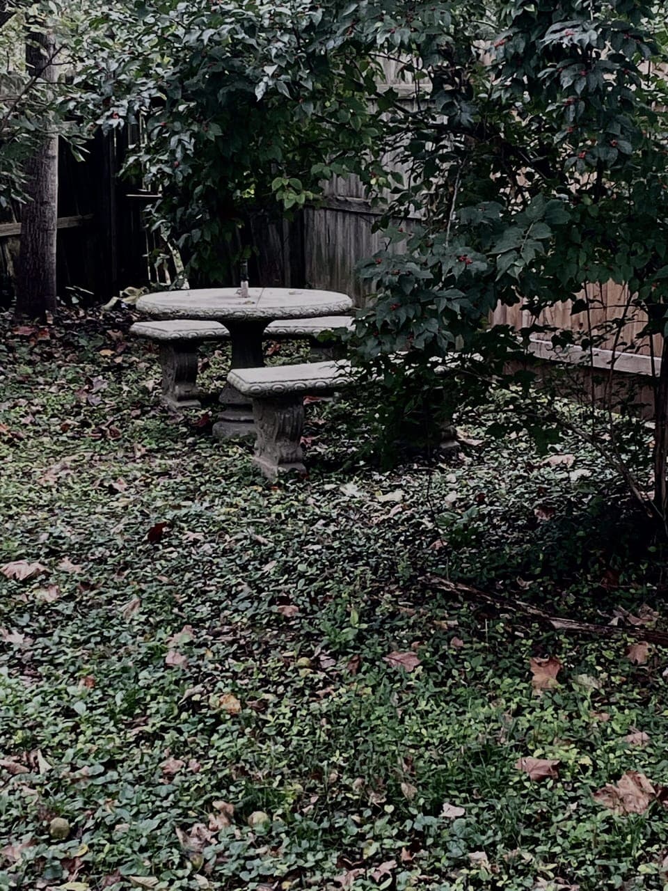 Small picnic lawn area below
