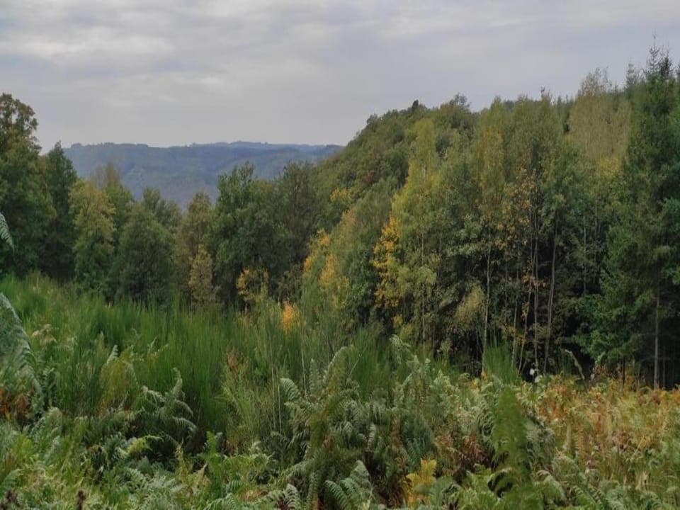 Region [summer] (>5 km)