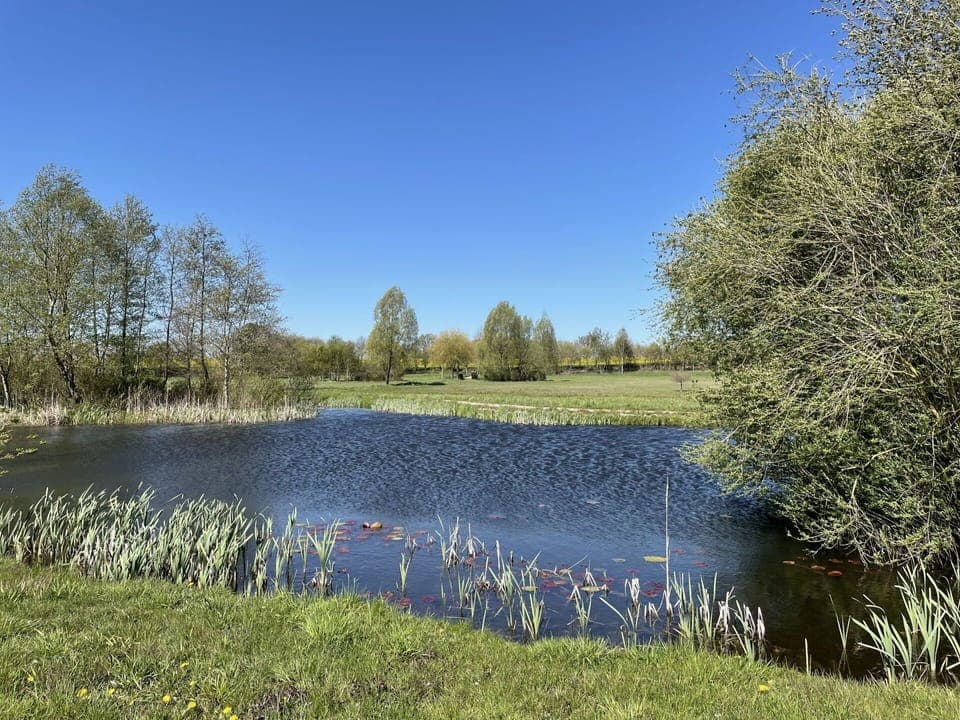 Water, Plant, Sky, Water Resources, Plant Community, Natural Landscape, Azure, Natural Environment, Lake