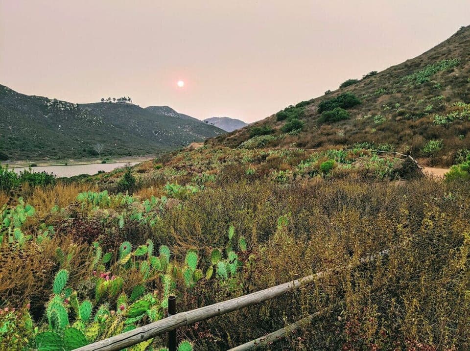 Lake Hodges trails