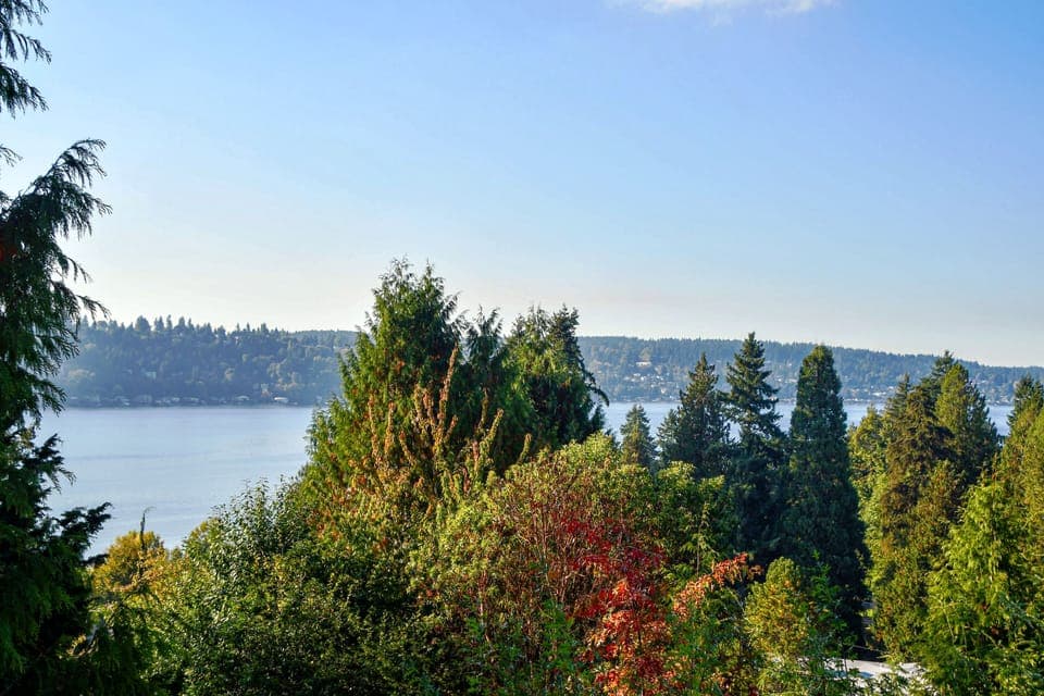 Look towards Lake Washington