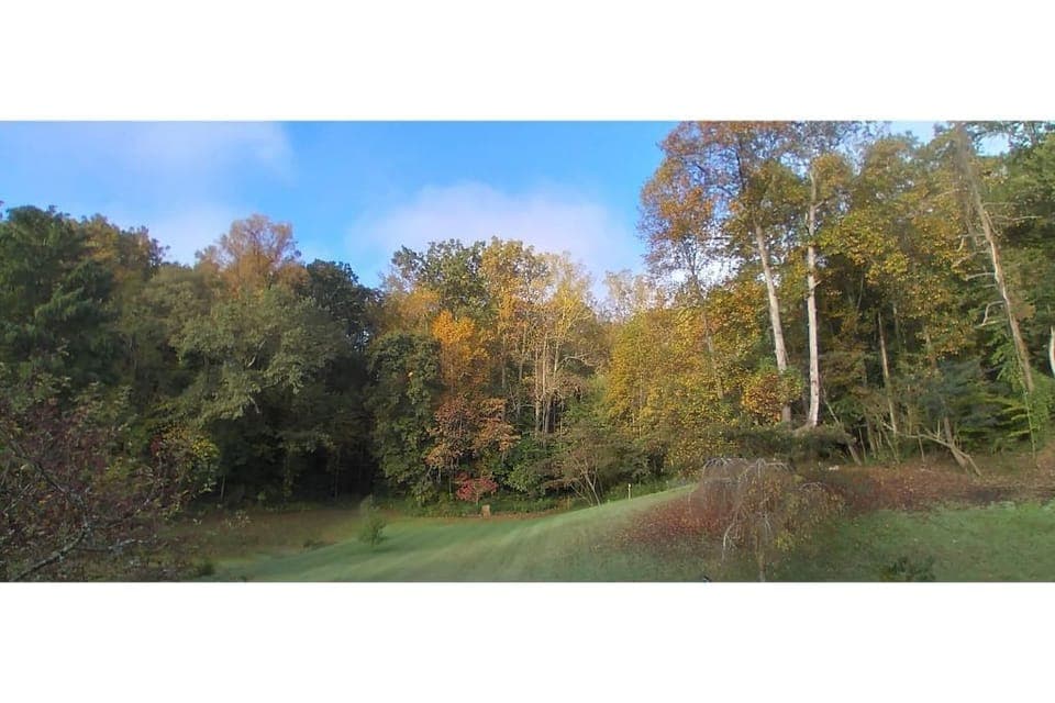 Late summer view of Oconee Oasis back yard/woods