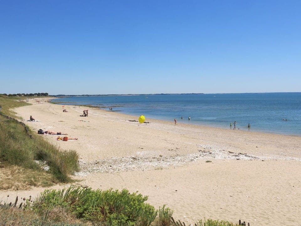 Table, Property, Cabinetry, Building, Dishware, Wood, Countertop, Interior Design, Tableware, Kitchen Appliance