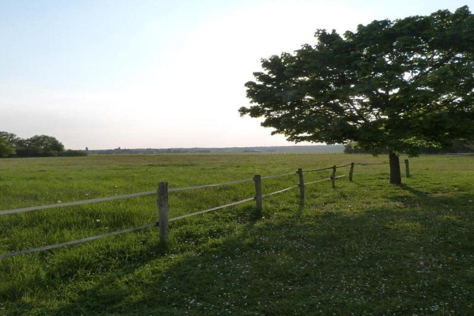 Region [summer] (>5 km)