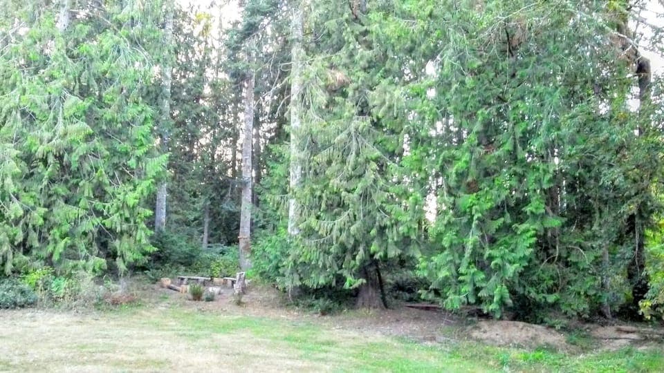 1/2 acres of woods and a firepit.