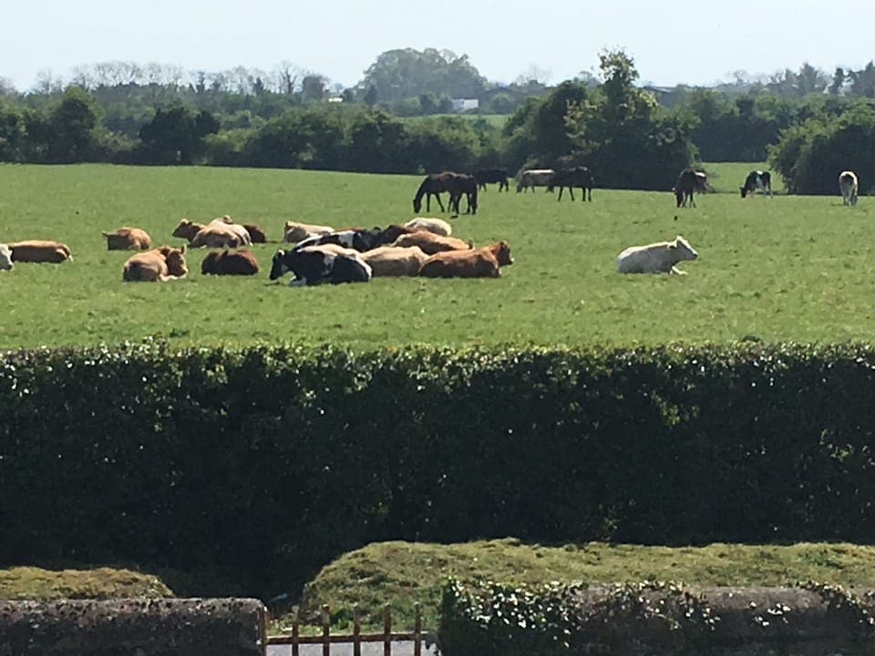 set on a working Farm