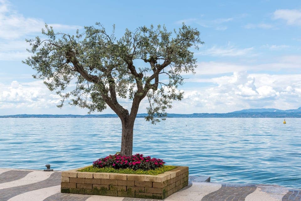 Surroundings [summer] (1-5 km)