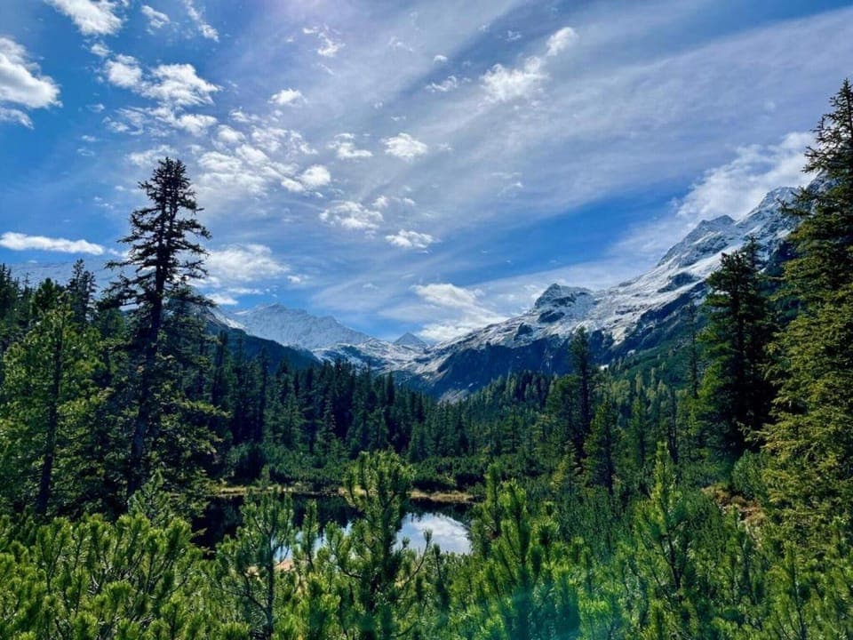 Region [summer] (>5 km)