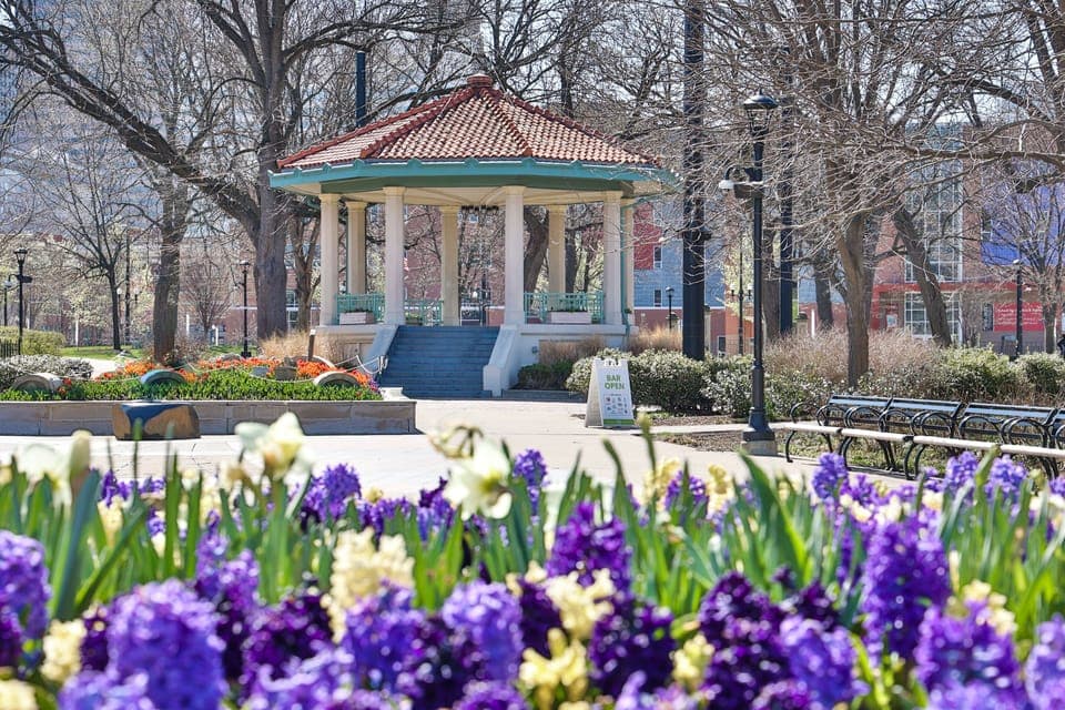daily set up at Washington Park