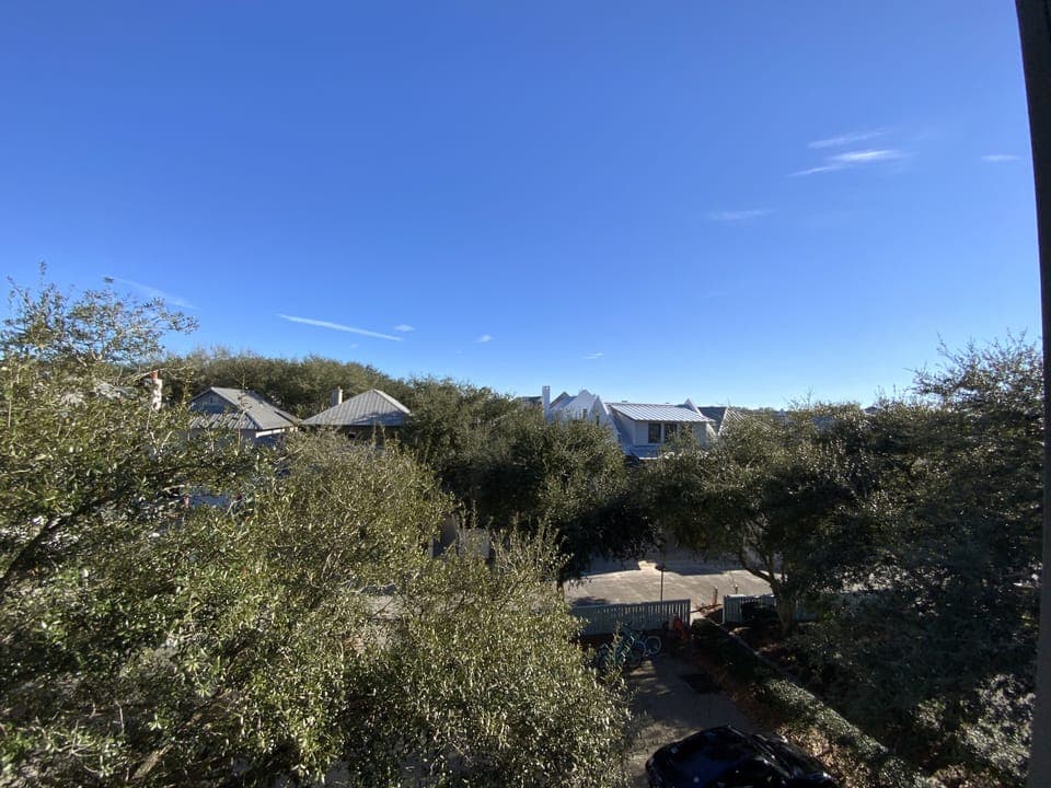 Treetop views from Casa Ananda 