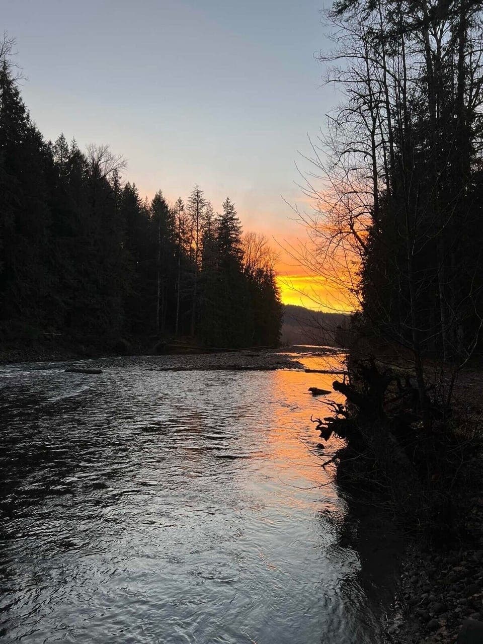 Photo shared by a guest November 2024