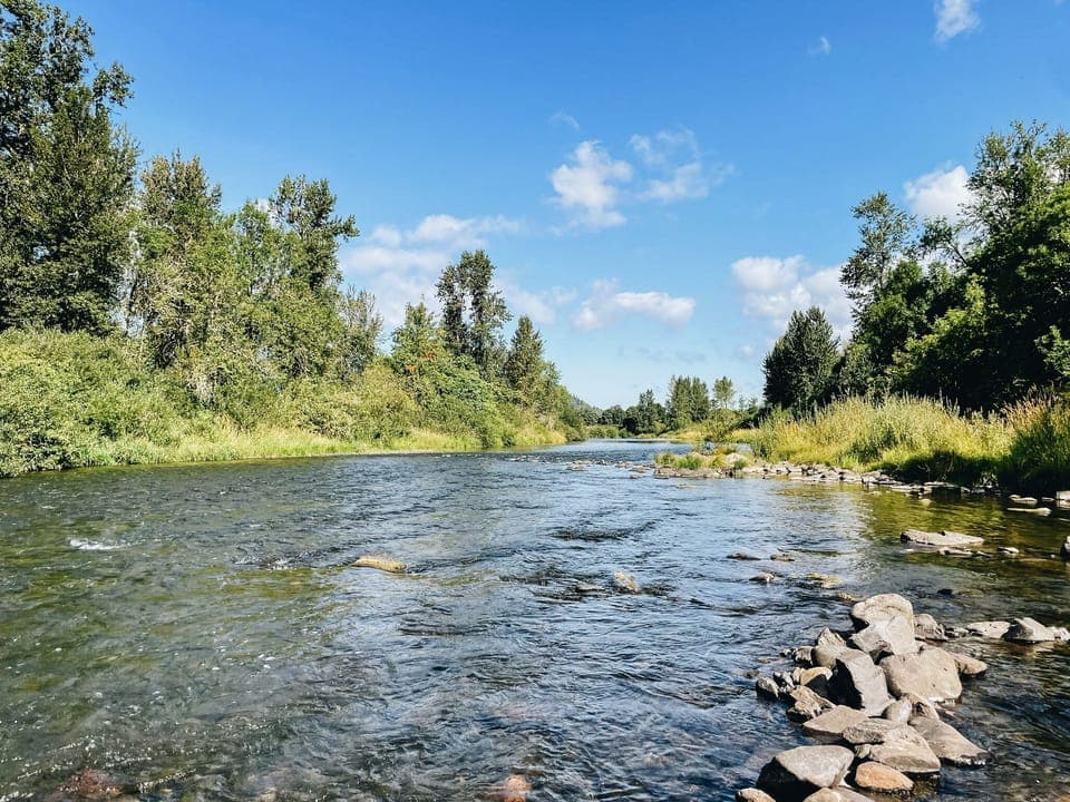 Willamette River (15 minute drive)