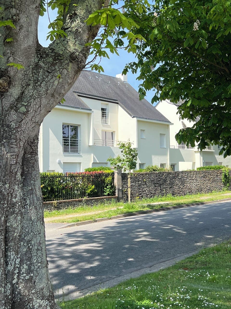 View of apartment from the avenue 