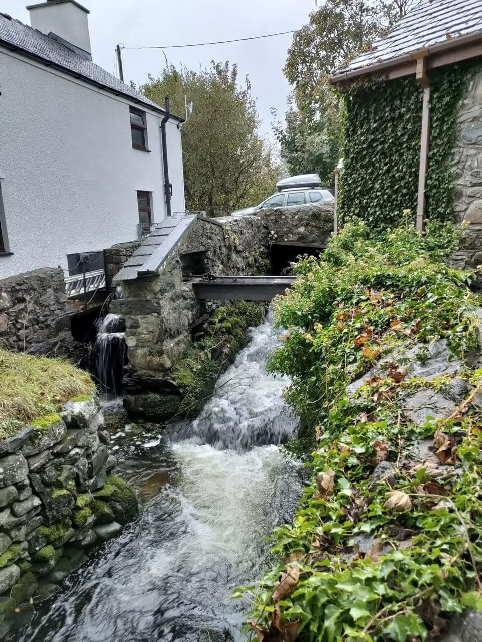 Stream and waterwheel at 'high tide'.
