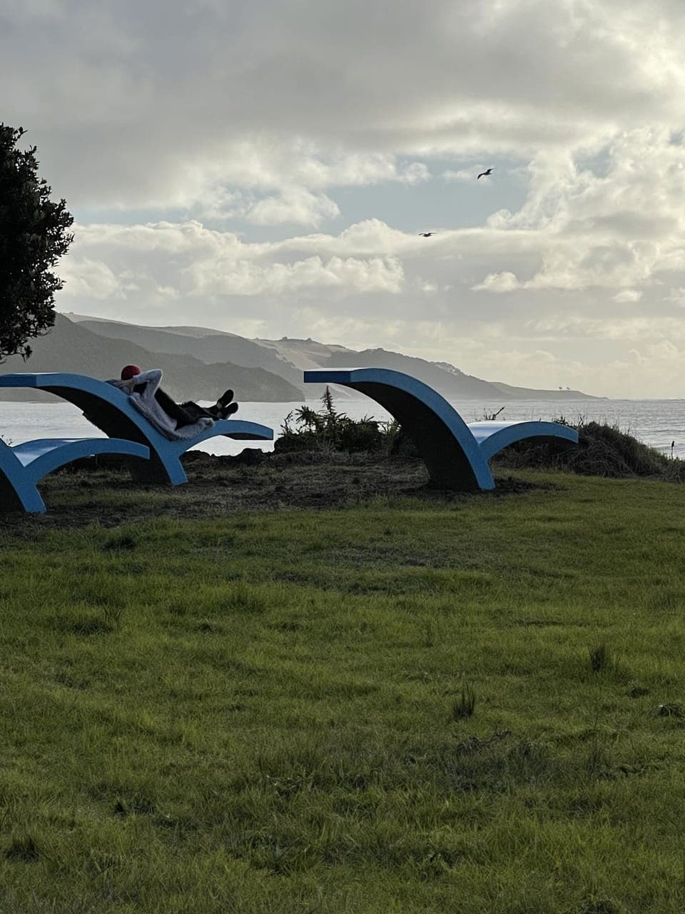 Relaxing along the foreshore 