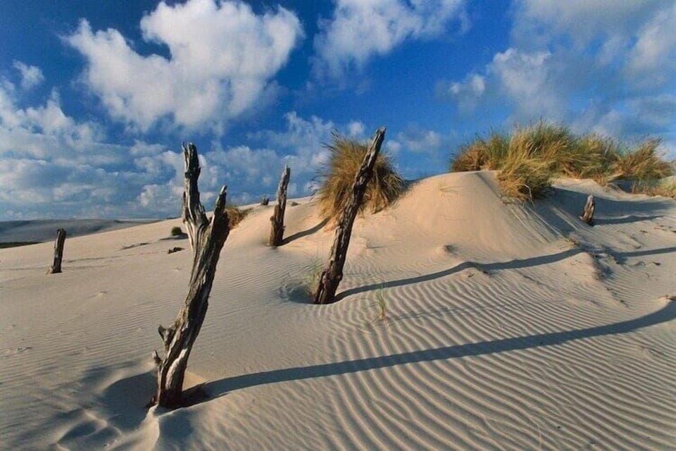 Surroundings [summer] (1-5 km)