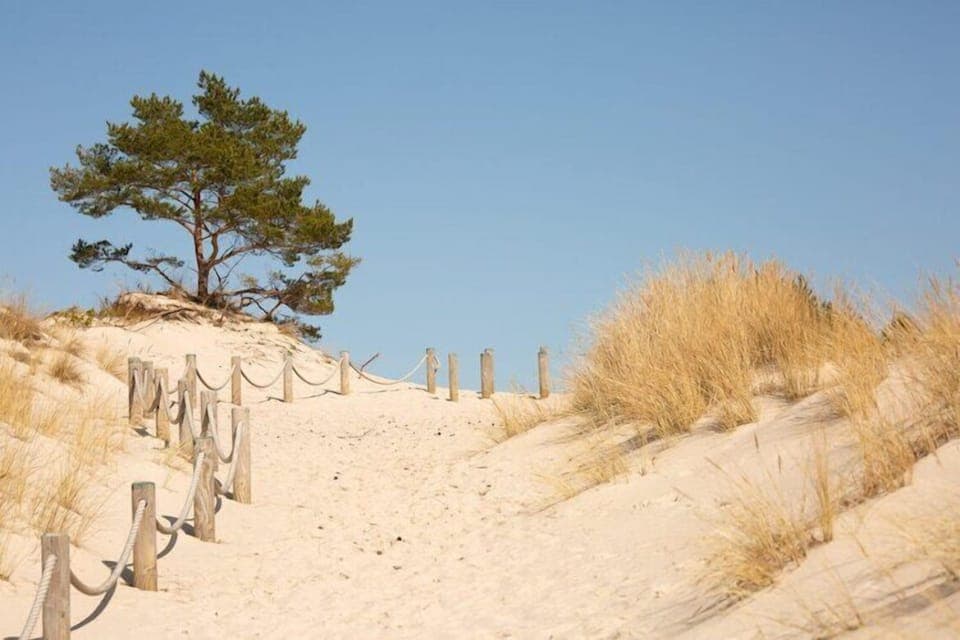 Region [summer] (>5 km)