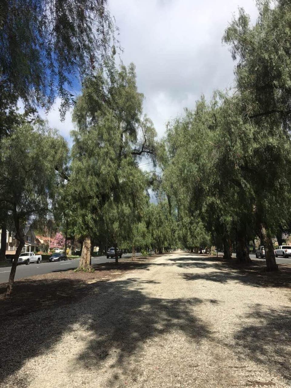 Euclid walking trail near home 