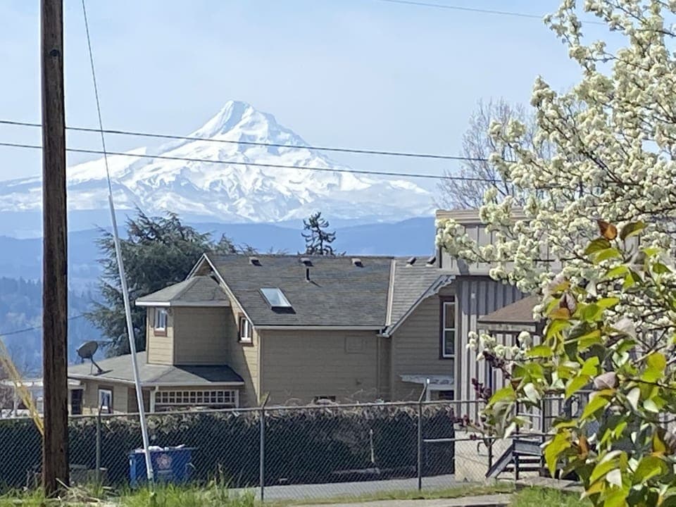 My Hood view from dining room and patio