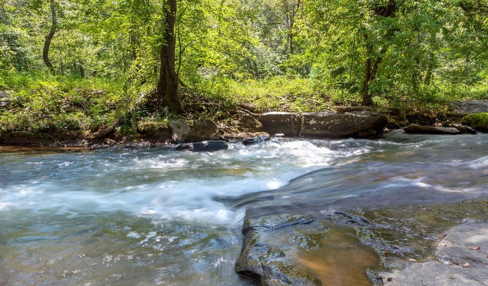 Maybe you would prefer lounging on a rock, but be careful as they can be slippery