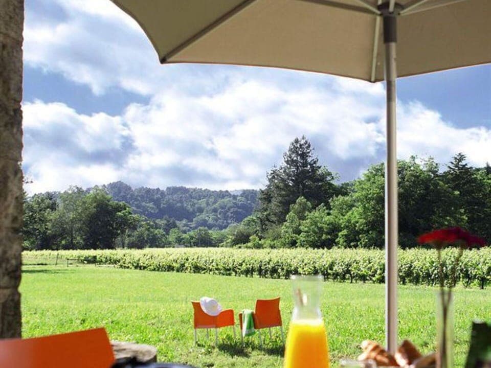 Sky, Plant, Table, Property, Cloud, Furniture, Tableware, Green, Light, Botany