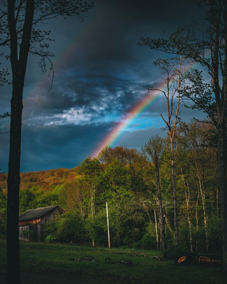 You never know what you'll see here on the land! (Picture from walking trail)