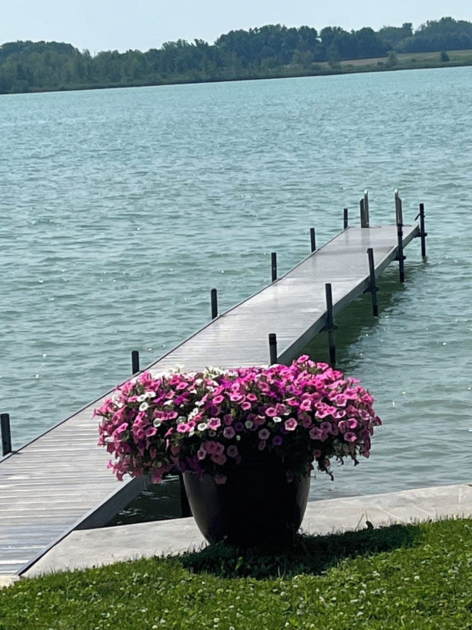 Tons of fun in your swimming area.