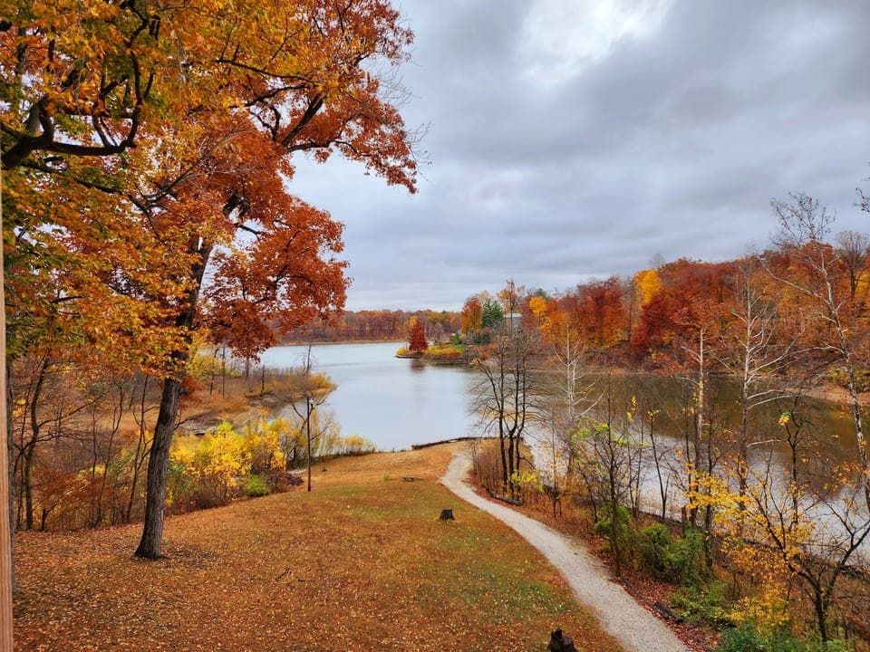 Beautiful Fall Afternoon 🍁🌾