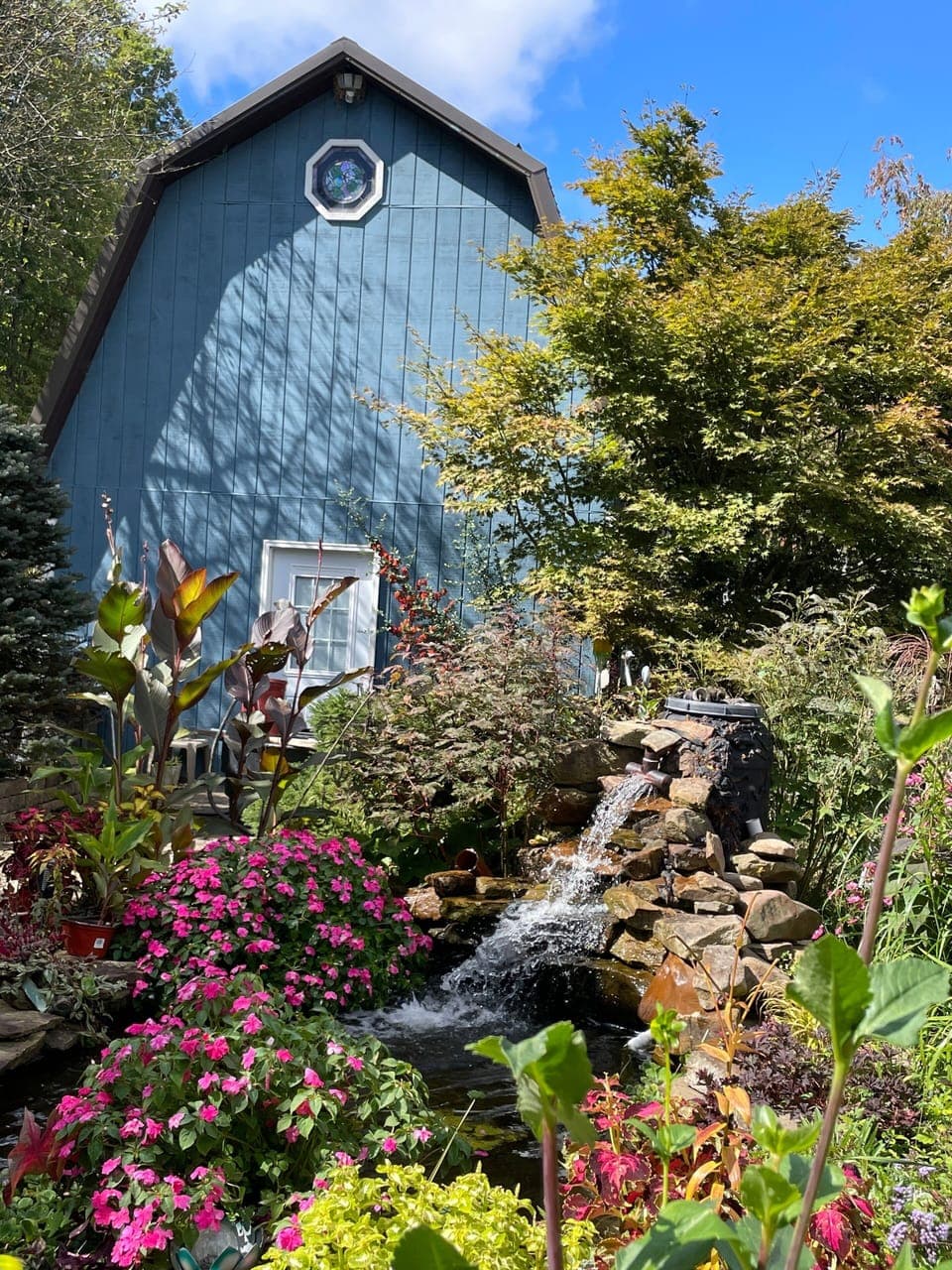 Koi pond adjacent to the cottage in its summer glory.