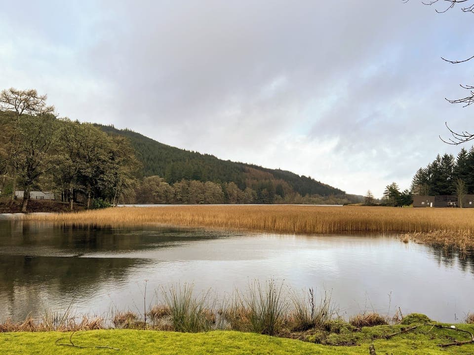View | Oich View - Great Glen Waterside Cottages, Spean Bridge