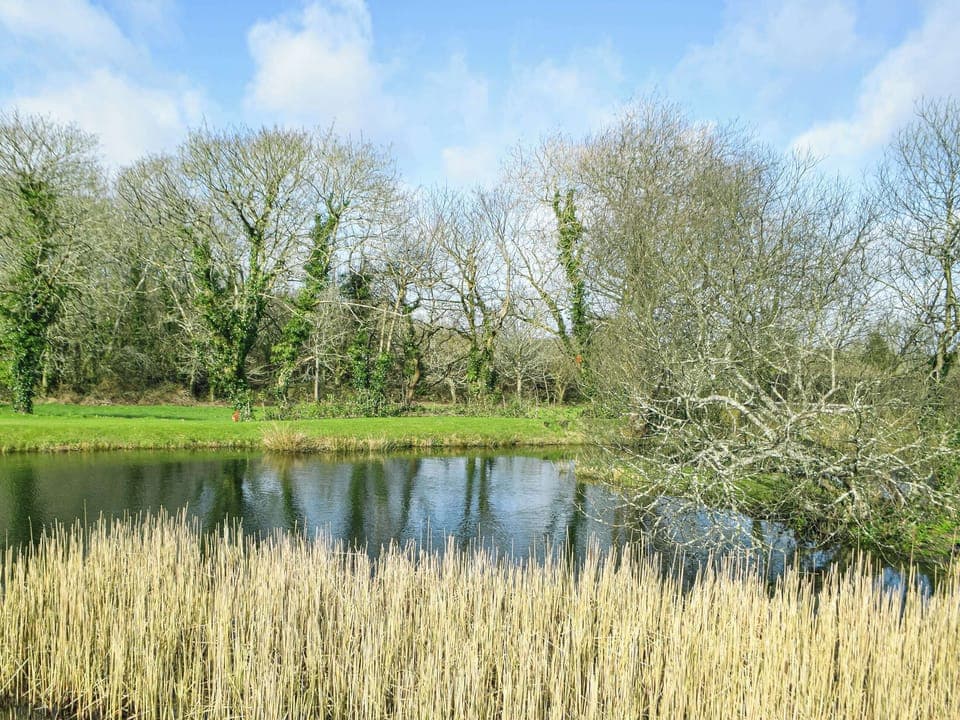 Surrounding area | Ty&rsquo;n-y-Canol, Johnston, near Haverfordwest