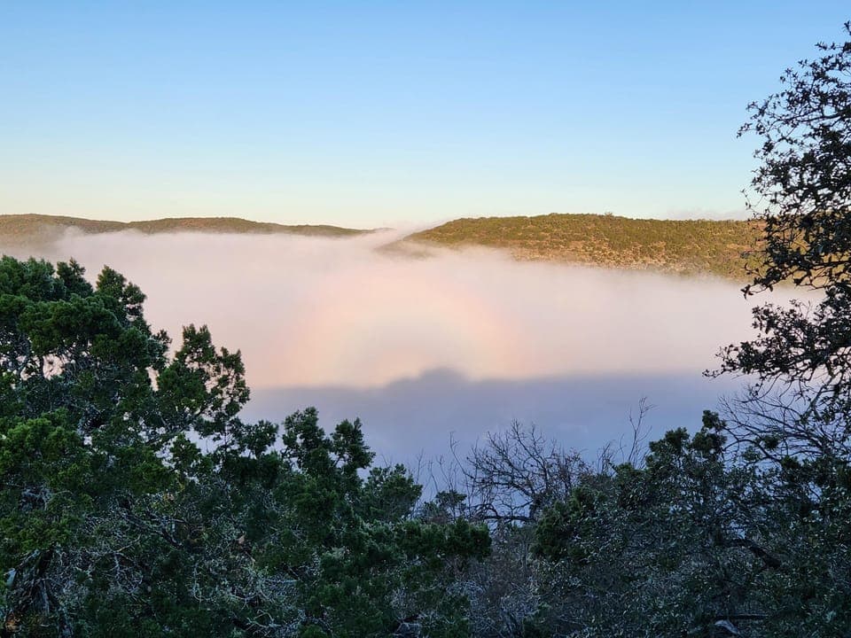 A special morning view