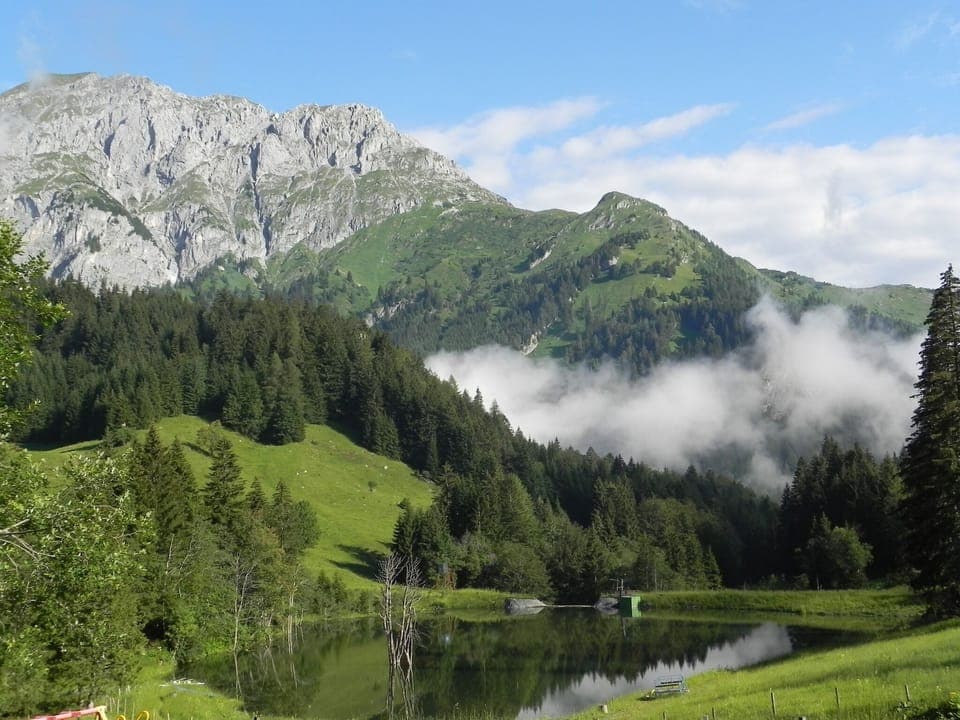 Surroundings [summer] (1-5 km)