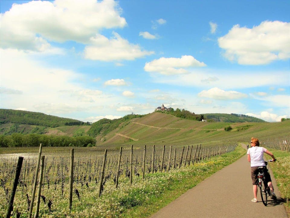 Region [summer] (>5 km)