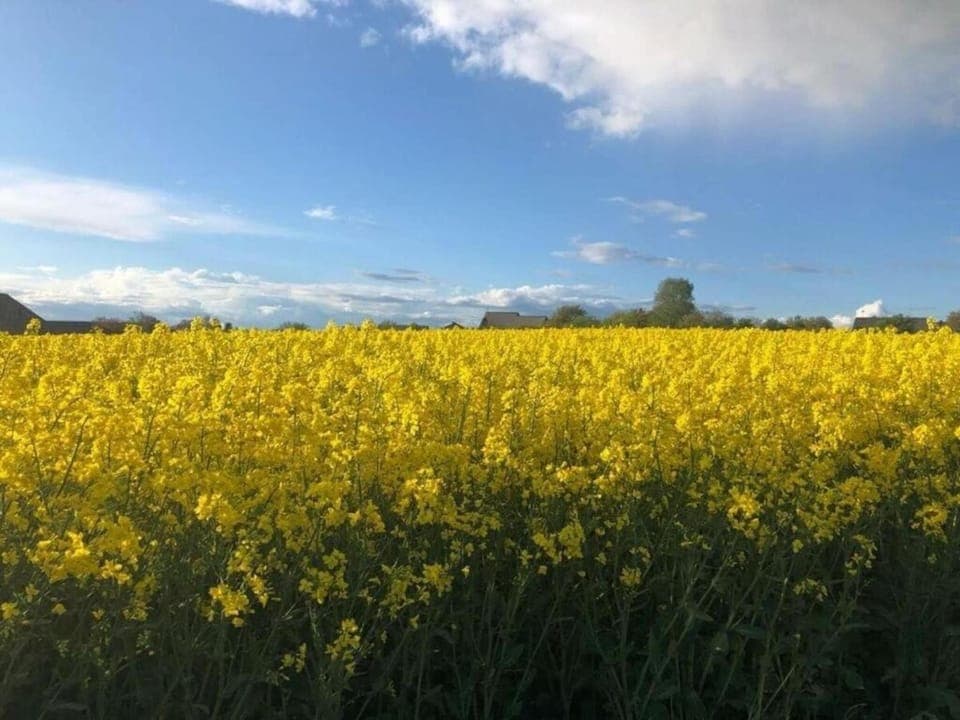 Region [summer] (>5 km)